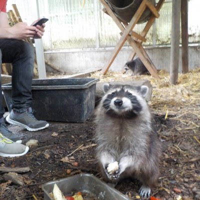 Aktivitaeten_2016_21_web