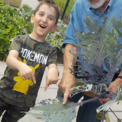 Aktivitaeten_2017_29_web