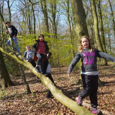 Aktivitaeten_2019_11_web