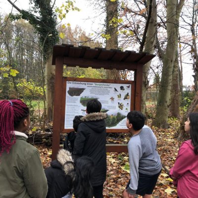 Aktivitaeten_21_12_web