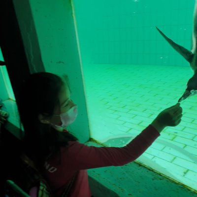 Aktivitaeten_21_24_web