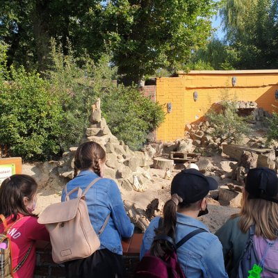 Aktivitaeten_21_25_web