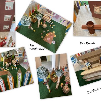 sonnenblume_2024_gewoba_und_kiwo