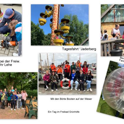 sonnenblume_2024_klimahus_und_div